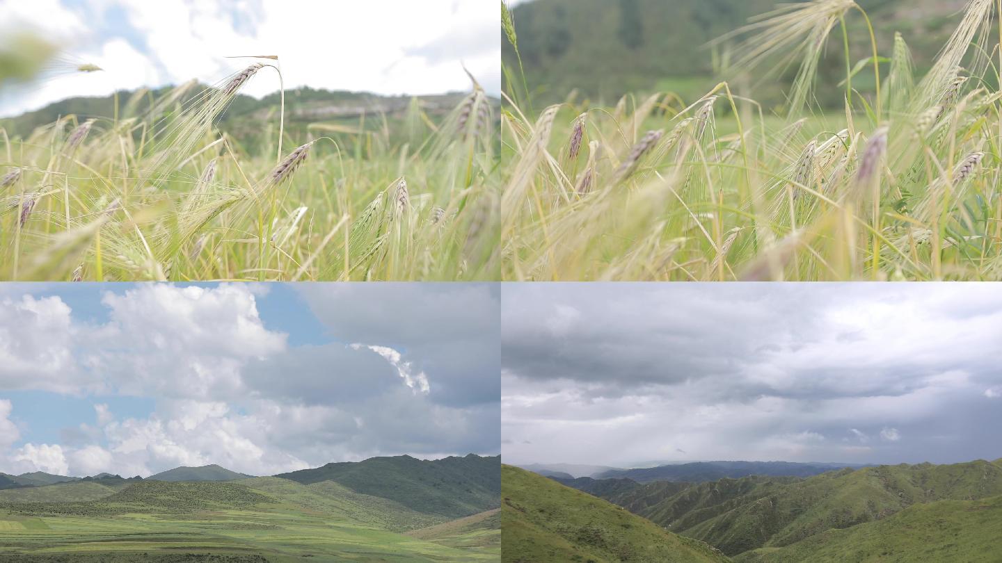 甘肃风景