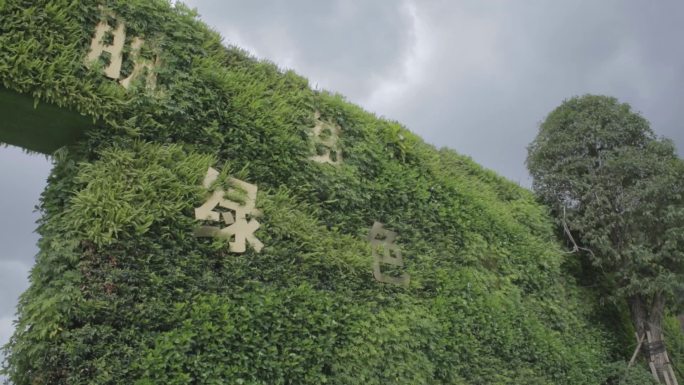 剑河县墙体绿化