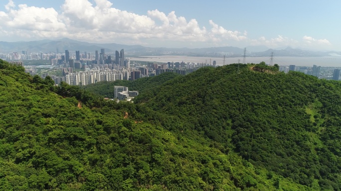 4K航拍风景山森林深圳塘朗山