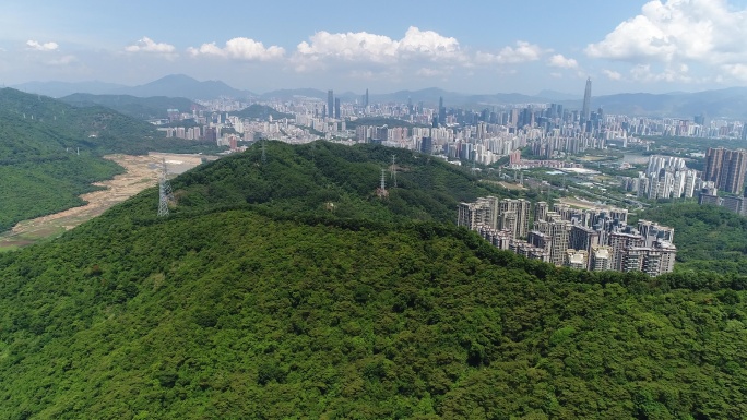4k航拍城市绿化风景山森林深圳塘朗山