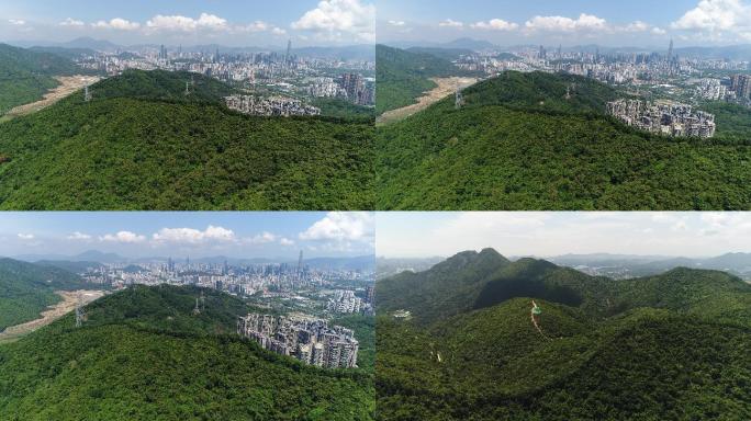 4k航拍城市绿化风景山森林深圳塘朗山