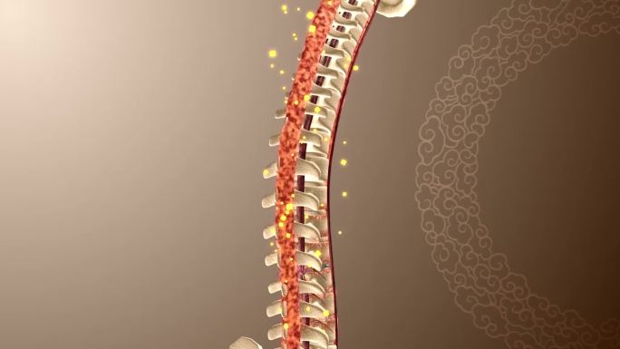 腰椎脊椎药物治疗机理