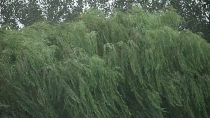 042狂风暴雨雷电1920视频