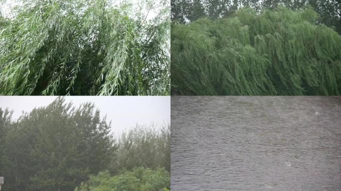 042狂风暴雨雷电1920视频