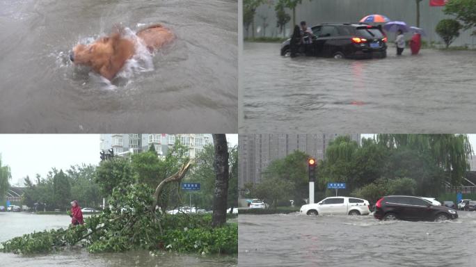 实拍暴雨城市积水车辆在水中行驶高清视频