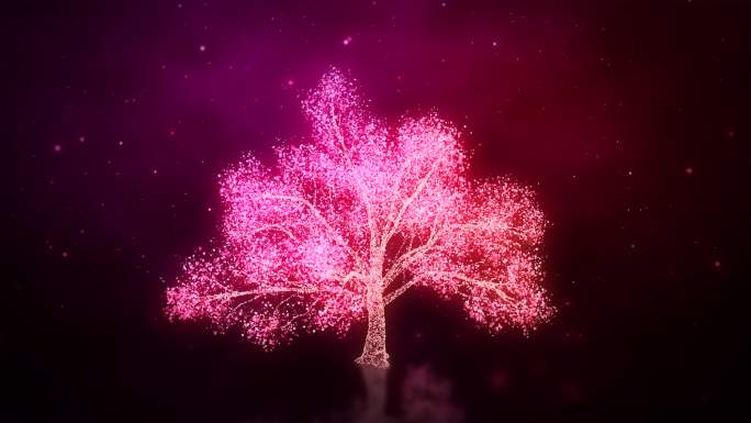 浪漫唯美樱花树旋转循环4K视频