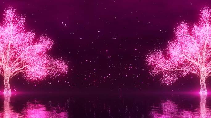 紫色浪漫情人节樱花树4K循环视频