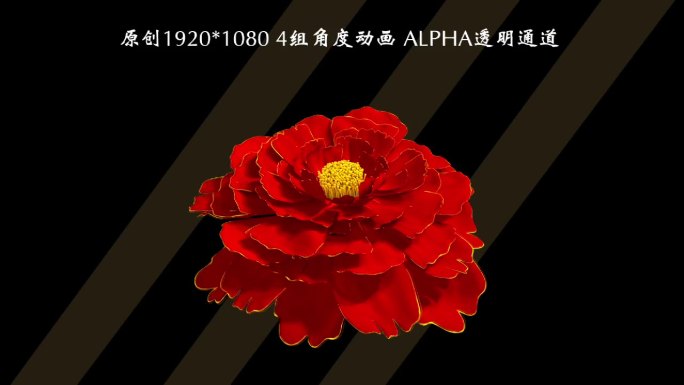 牡丹花4组形态ALPHA