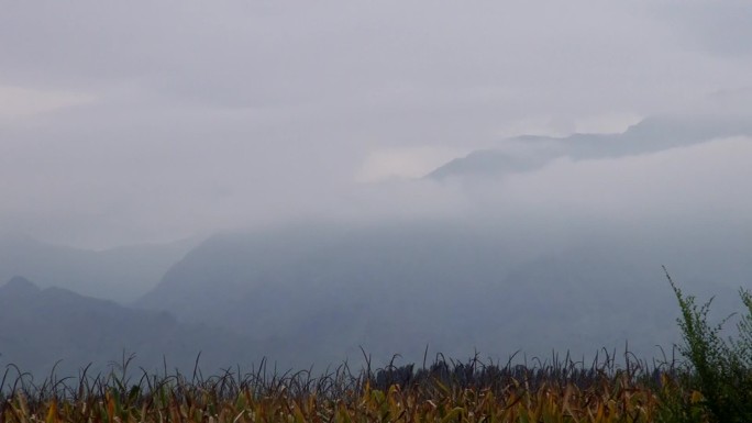 水墨贺兰山