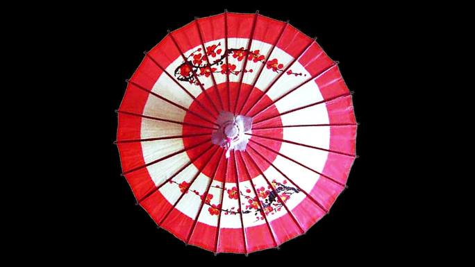 日式梅花纸伞转动视频素材