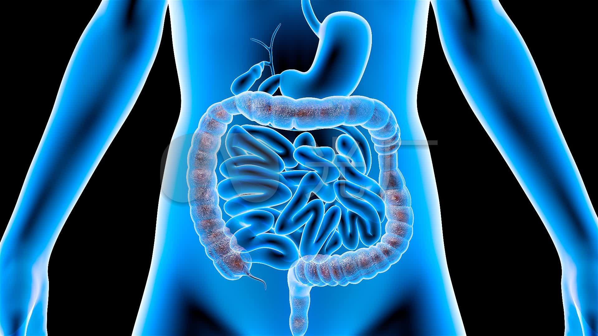 肠胃炎发作真要命，应急方法在这，能有效缓解症状 - 知乎