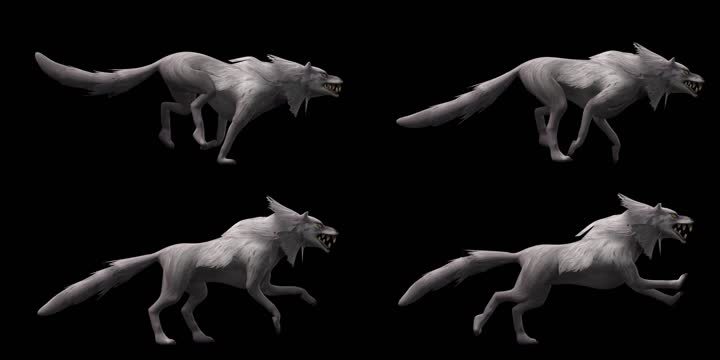 生物-大灰狼-奔跑（带通道）