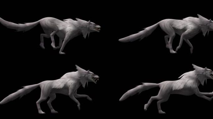 生物-大灰狼-奔跑（带通道）