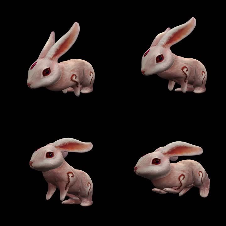 生物-兔子-奔跑（带通道）
