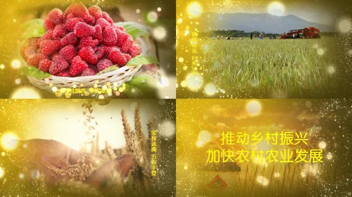 会声会影中国农民丰收节模板