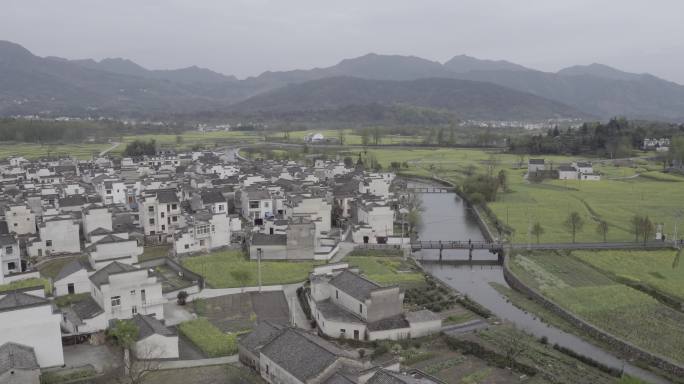 油菜花田徽州古村