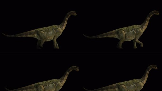 生物-恐龙-前进（带通道）