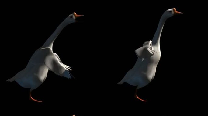 生物-鹅-扇翅膀（带通道）