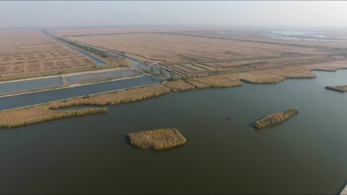 2018年天津宁河七里海航拍视频素材