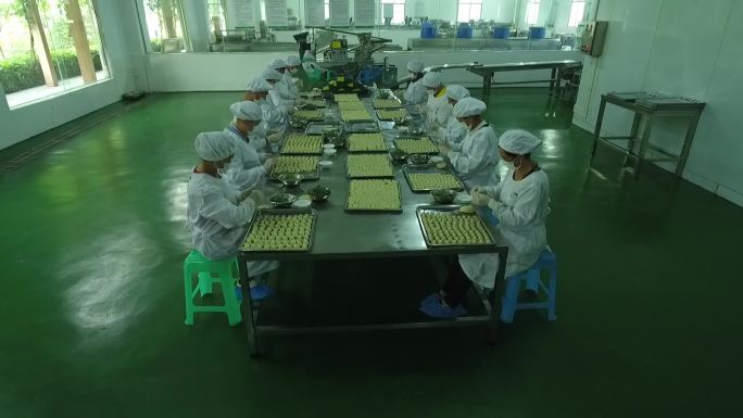 手工水饺馄饨速食制作生产线