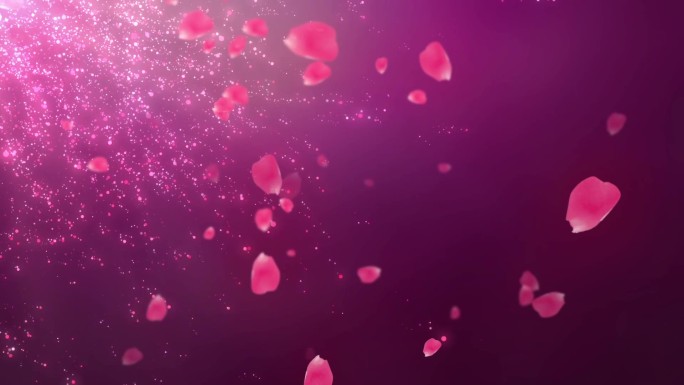 粉色花瓣粒子飘落唯美背景循环