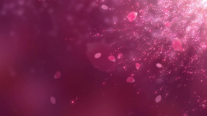 浪漫粉色花瓣粒子飘动背景循环
