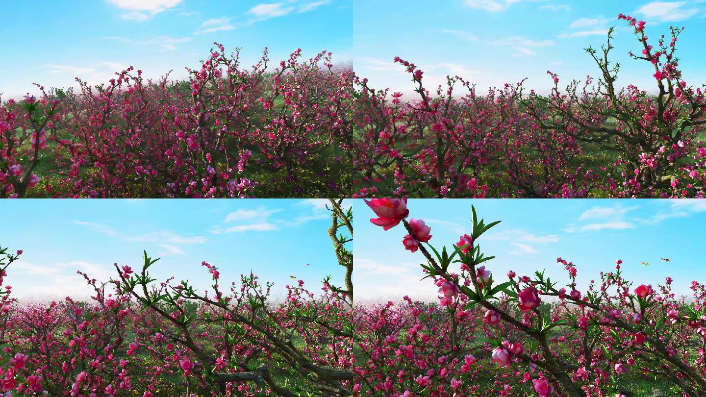 唯美桃花林