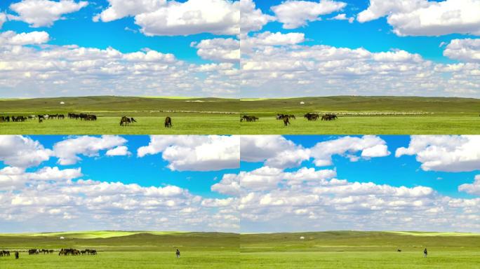 内蒙古大草原风景牛羊