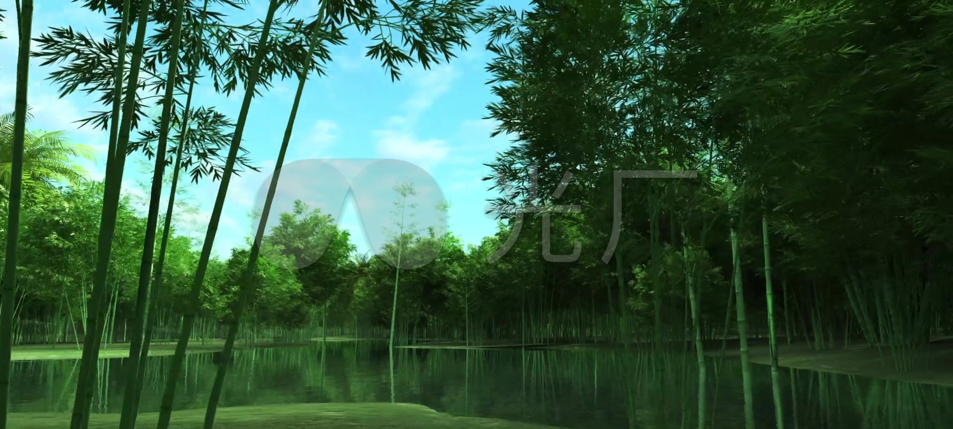 竹林自然背景 免费图片 - Public Domain Pictures