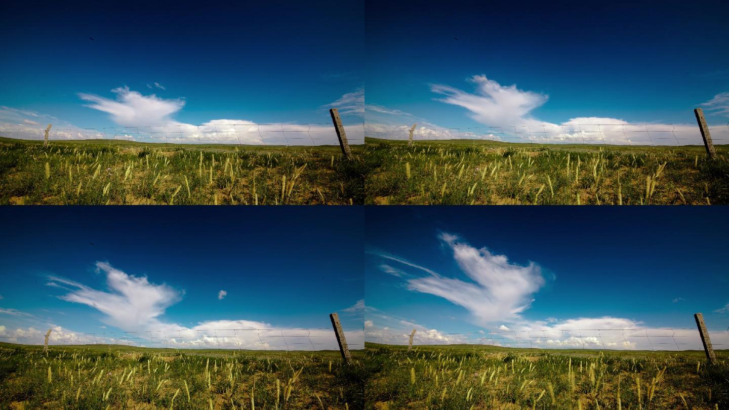 内蒙古大草原风景延时摄影