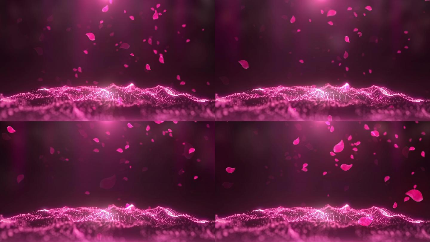 浪漫粉色花瓣粒子动态背景循环