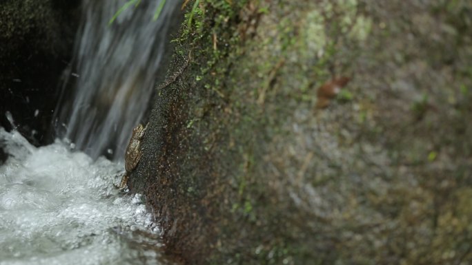 矿泉山崖水滴