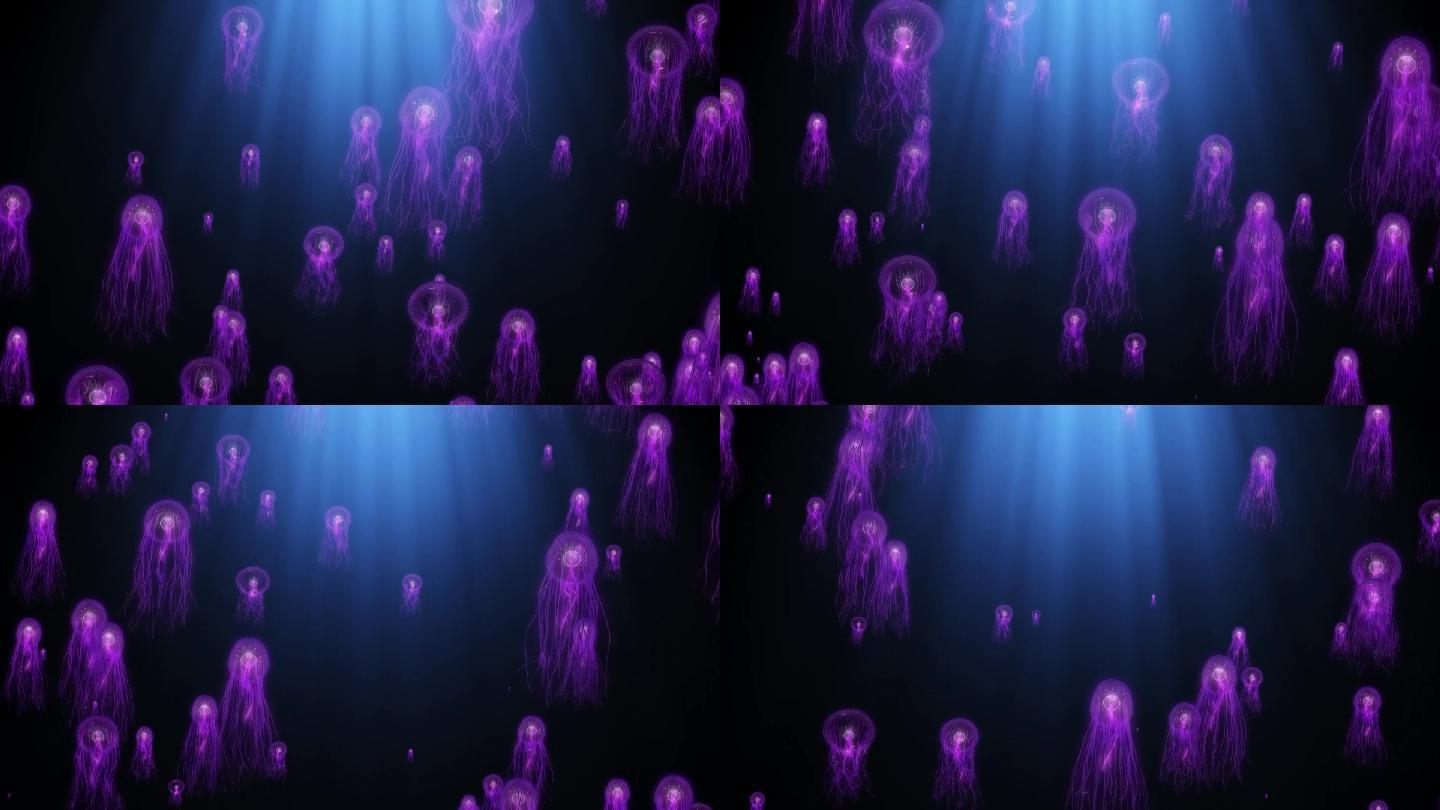 紫色深海水母循环