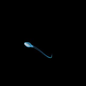 精子视频素材下载 精子ae模板下载 Vj师网 精子视频素材下载 精子ae模板下载 Vj师网