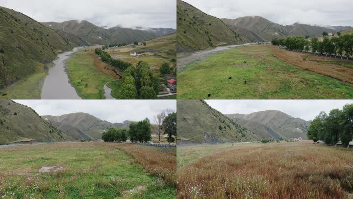 航拍秋天的新都桥的山谷公路与草原