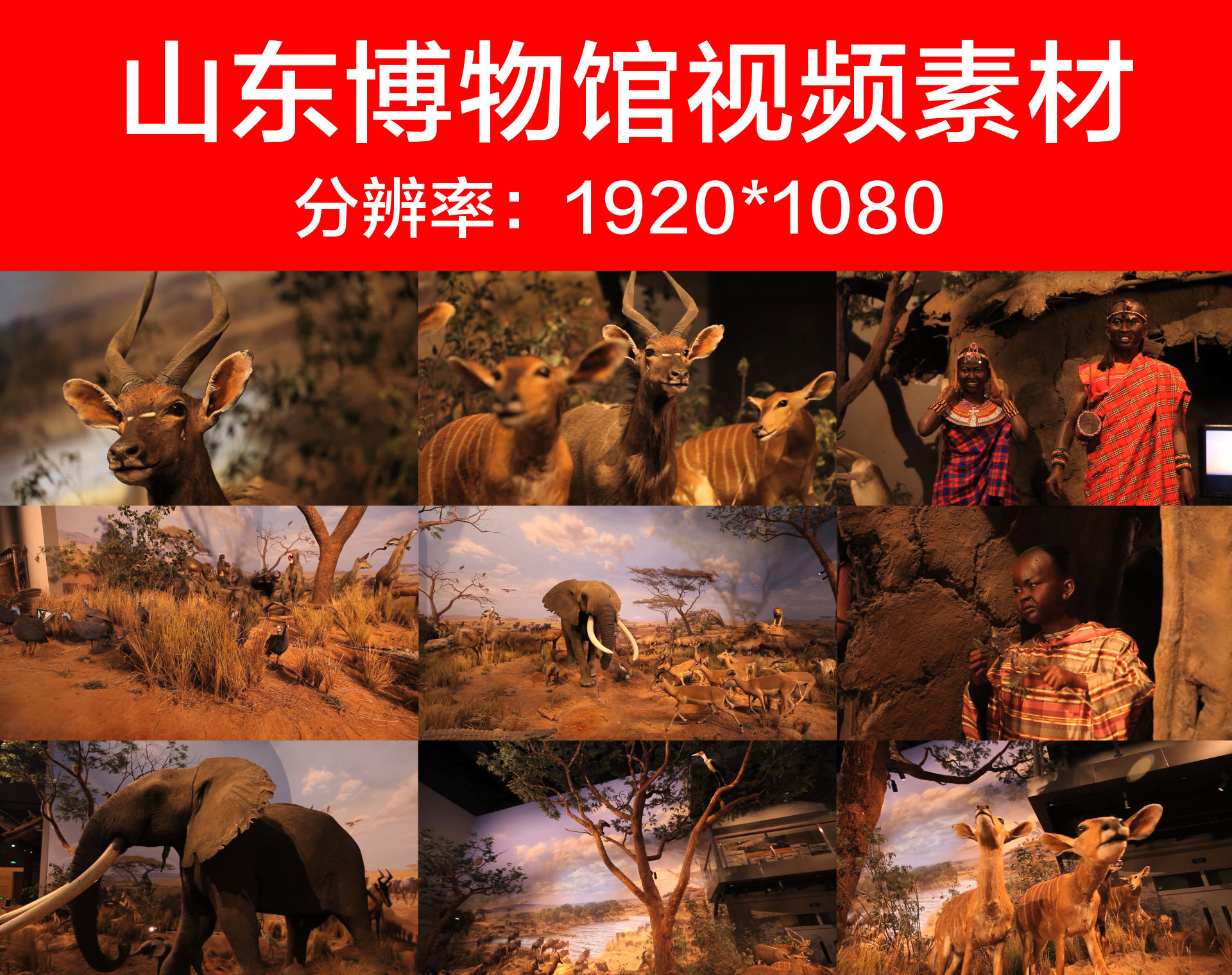 山东博物馆