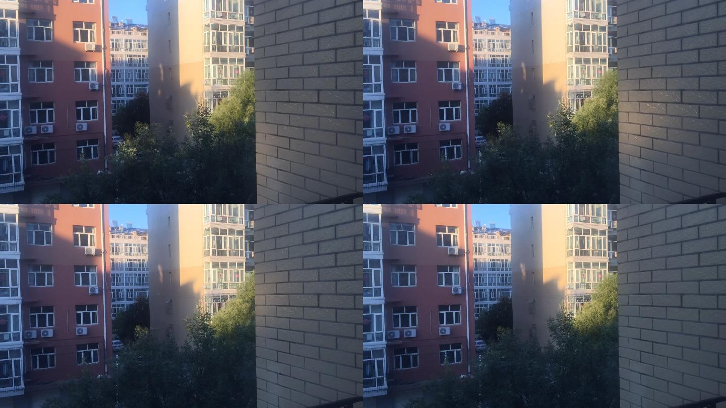 延时拍摄小区楼房大树一角背景
