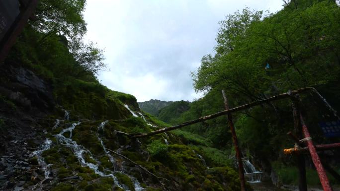 秀丽风景会动的云土族草原花海山脉瀑布天池