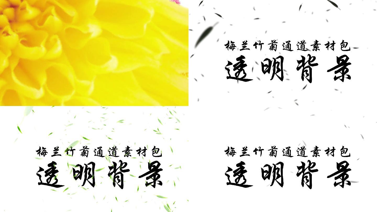 10款梅兰竹菊视频素材包-alpha通道