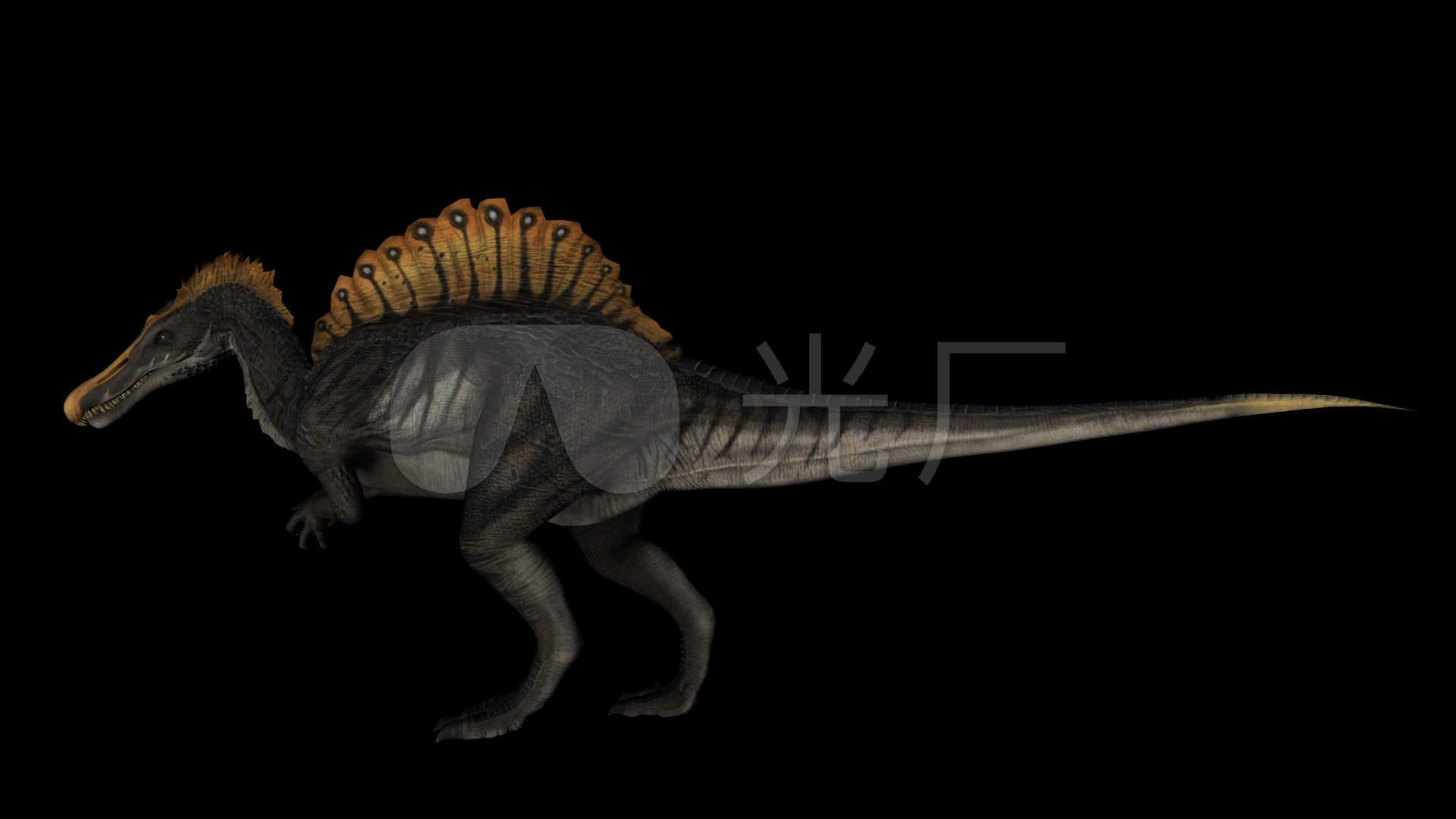 透明通道侏罗纪棘背龙特效合成素材