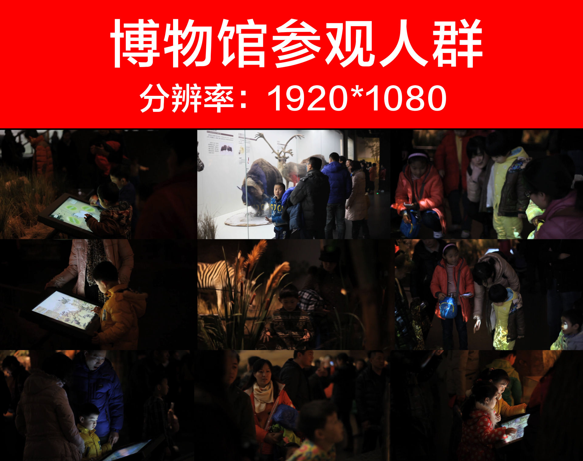 博物馆参观