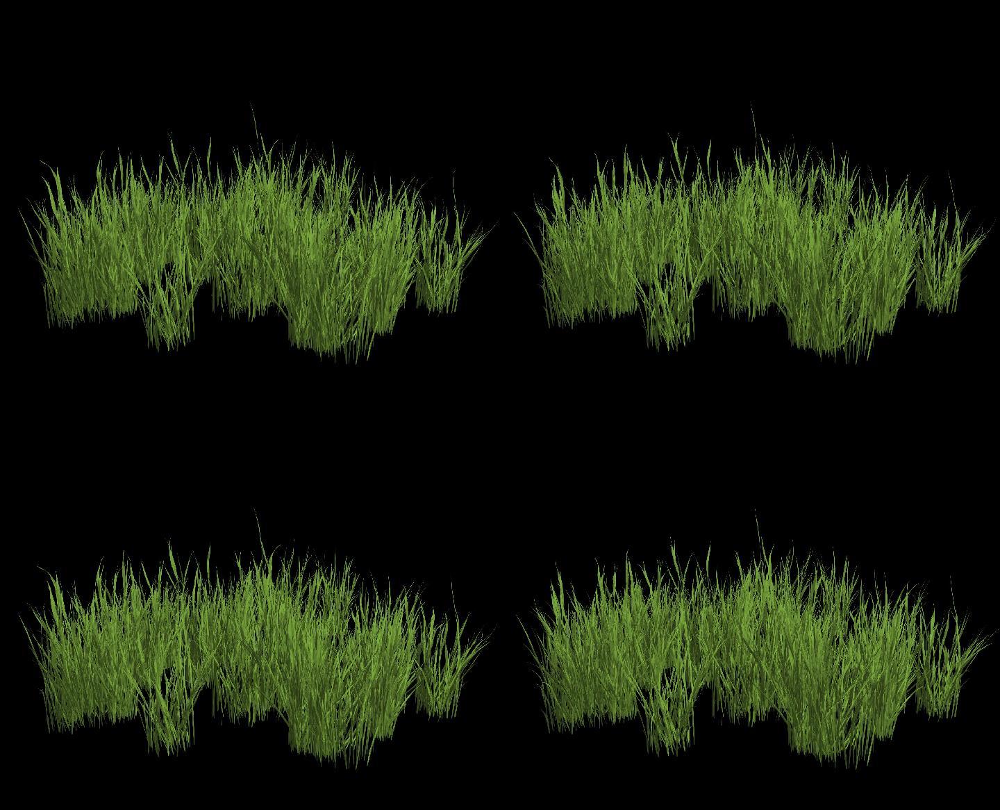 河滩水草——植物摇曳动画带通道