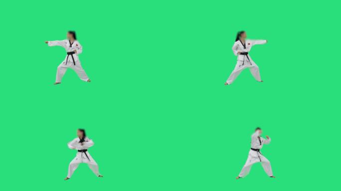 跆拳道武术表演绿屏抠像素材