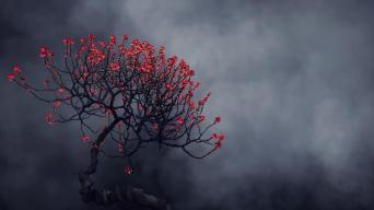 4k梅花_3840X2160_高清视频素材下载(编号:2991715)_舞台背景_光厂(VJ师网) www.vjshi.com