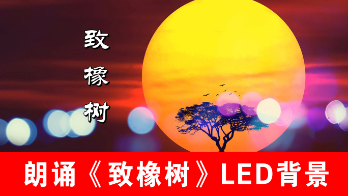 朗诵《致橡树》LED背景