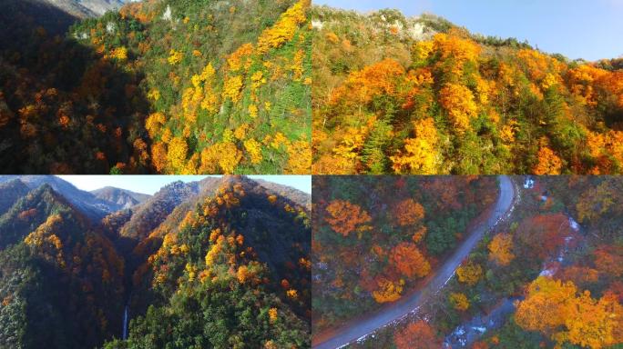 可以商用 航拍秋色巴山 秦岭秋色 红叶