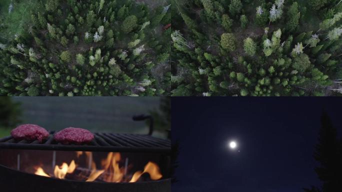 夜晚森林中烧烤