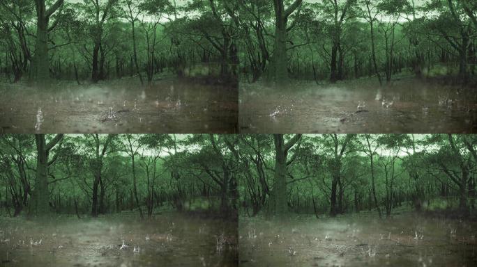 树林傍晚下雨雨滴小雨大雨中雨水泡水坑溅水