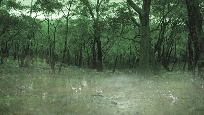 树林傍晚下雨雨滴小雨大雨中雨水泡水坑溅水