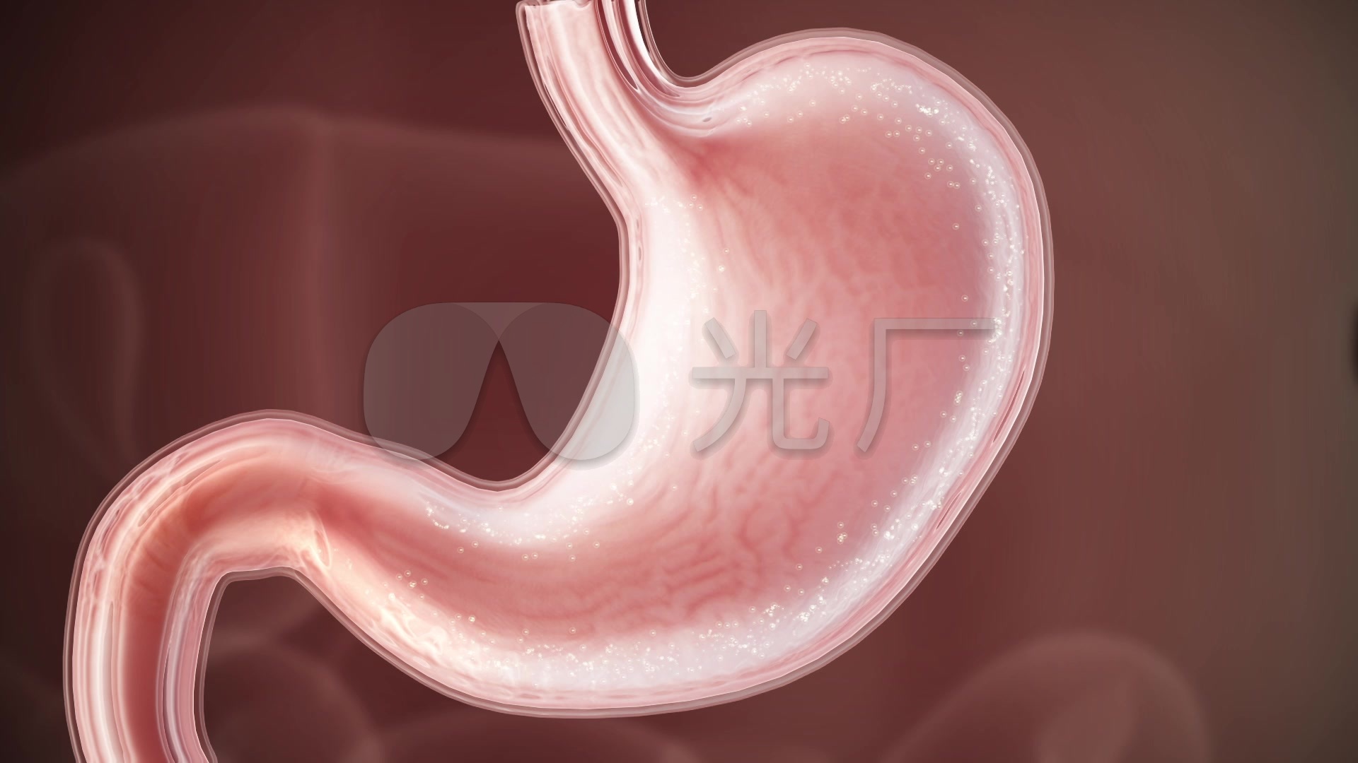 胃病患者必看，胃黏膜最喜欢的14种食物 - 哔哩哔哩
